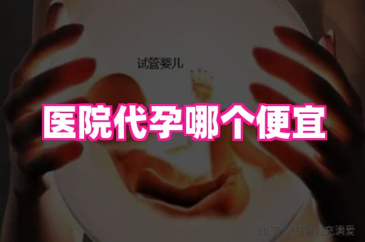821孕网 2